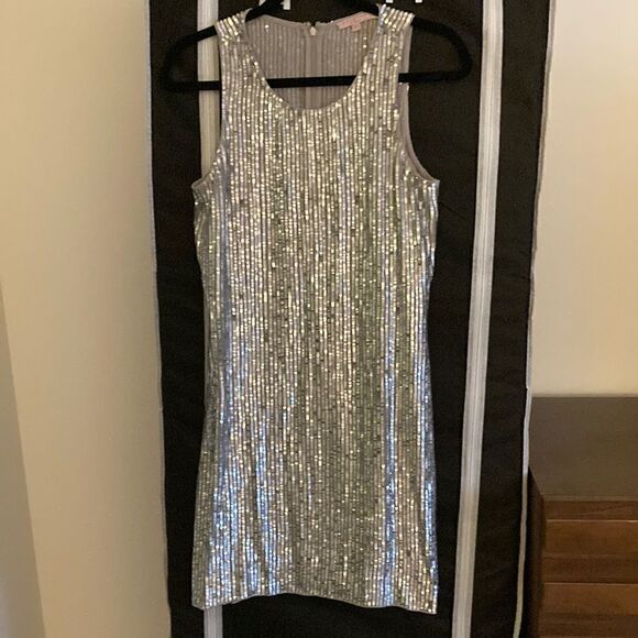 Calypso St Barth Silver Sequin Sleeveless Sheath Dress. Size XS. - Picture 1 of 7